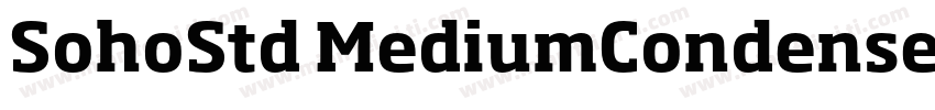 SohoStd MediumCondensed字体转换